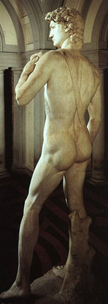 David (rear)