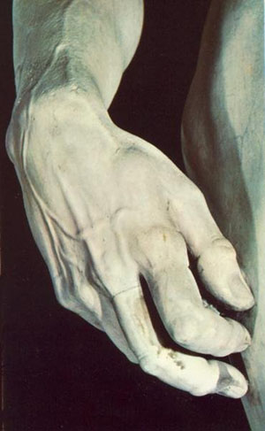 David (detail of veins)